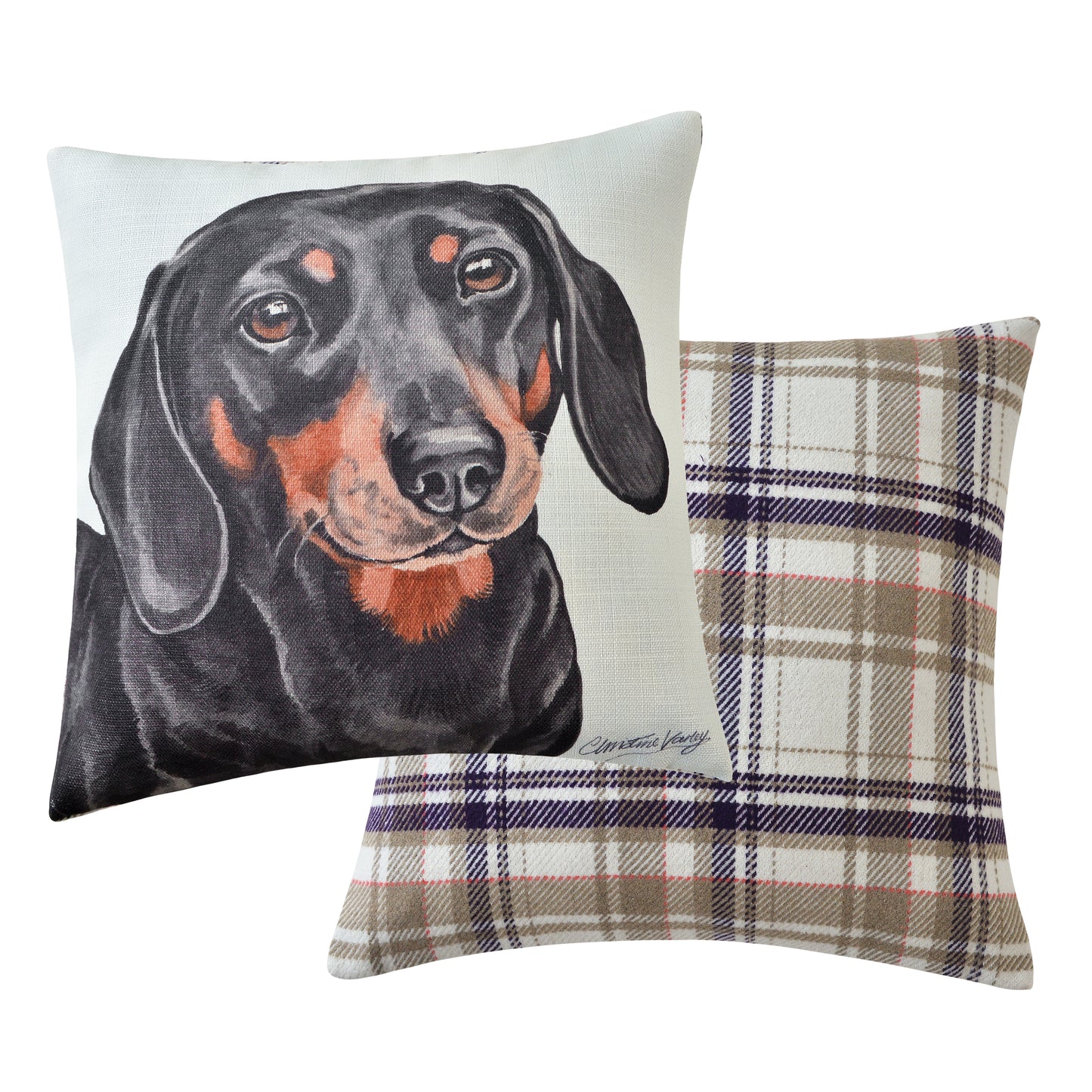 Dachshund Cushion