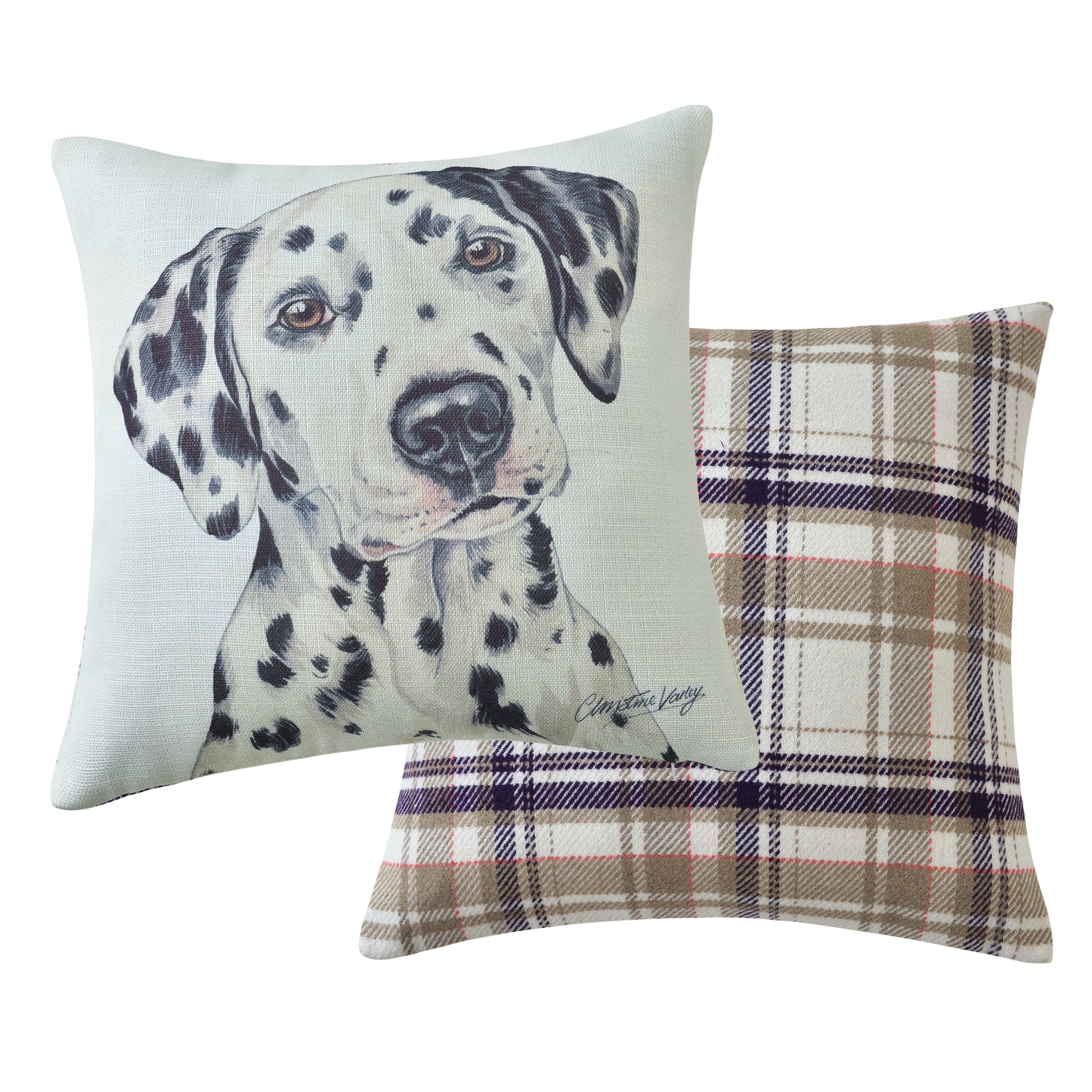 Dalmation Cushion